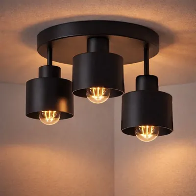 WoonWonder Industrieel Zwart - 3 x max. 60 Watt (E27) - Plafonnière Woonkamer, Kinderkamer, Slaapkamer - excl. lichtbron